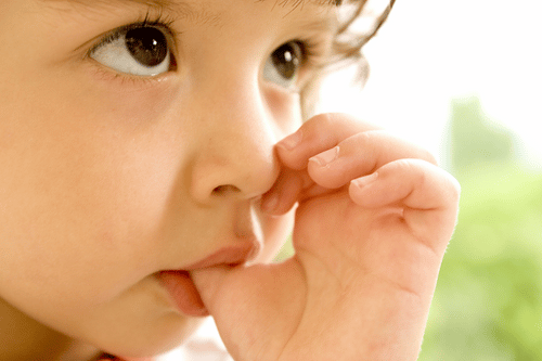 Toddler's teeth